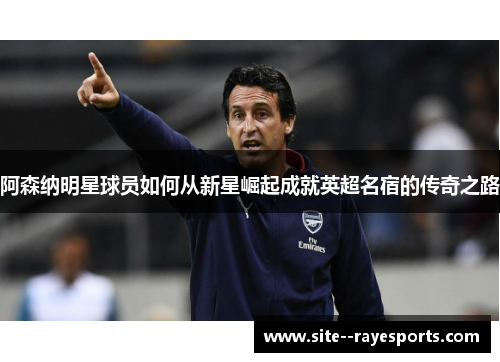 阿森纳明星球员如何从新星崛起成就英超名宿的传奇之路