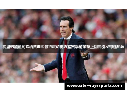 梅里诺加盟阿森纳首训即骨折震动更衣室赛季前景蒙上阴影引发球迷热议